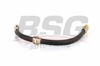 BSG 16-730-002 BSG Тормозной шланг