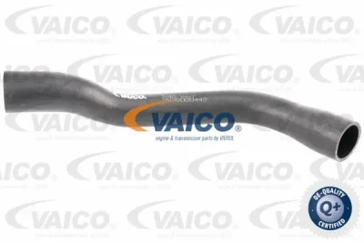 Шланг для удаление воздуха, топливный бак VAICO V40-1987