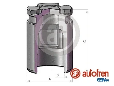 D025780 AUTOFREN SEINSA Поршень, корпус скобы тормоза