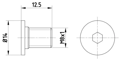 8DZ 355 209-021 BEHR/HELLA/PAGID Болт, диск тормозного механизма
