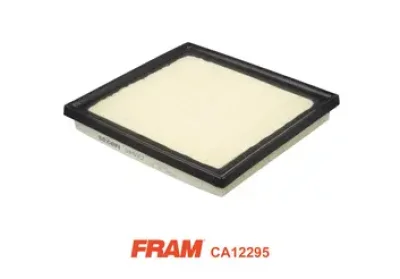 CA12295 FRAM Воздушный фильтр