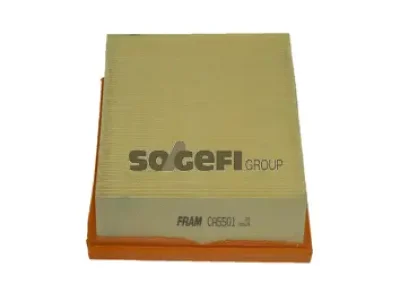 CA5501 FRAM Воздушный фильтр