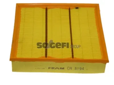 CA8194 FRAM Воздушный фильтр