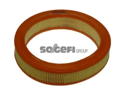 FL6676 COOPERSFIAAM FILTERS Воздушный фильтр