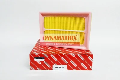 DAF264 DYNAMATRIX Воздушный фильтр