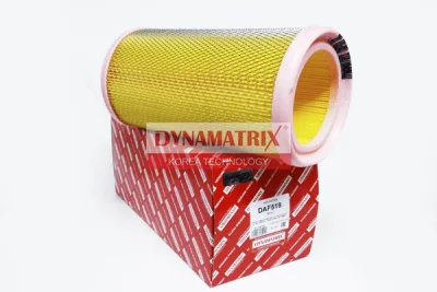 DAF519 DYNAMATRIX Воздушный фильтр