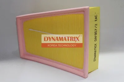 DAF957/2 DYNAMATRIX Воздушный фильтр