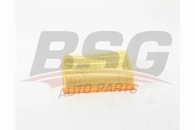 BSG 15-135-018 BSG Воздушный фильтр