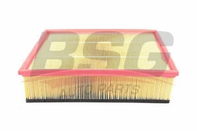 BSG 60-135-001 BSG Воздушный фильтр