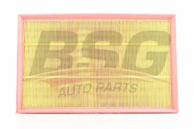 BSG 60-135-002 BSG Воздушный фильтр