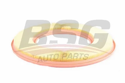 BSG 60-135-015 BSG Воздушный фильтр