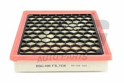 BSG 65-135-021 BSG Воздушный фильтр