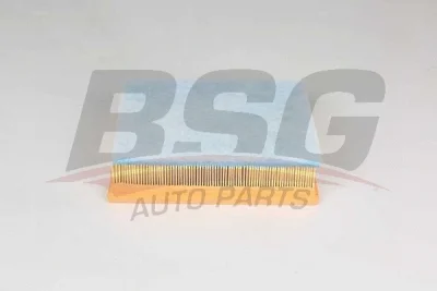 BSG 75-135-021 BSG Воздушный фильтр