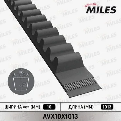 Клиновой ремень MILES AVX10X1013