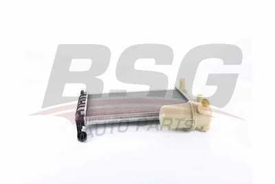 BSG 25-520-008 BSG Радиатор, охлаждение двигателя