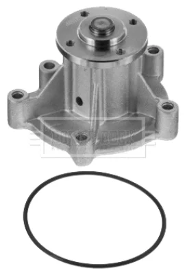 BWP1782 BORG & BECK Водяной насос, охлаждение двигателя