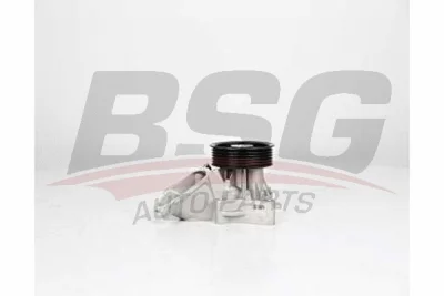 Водяной насос, охлаждение двигателя BSG BSG 15-500-014