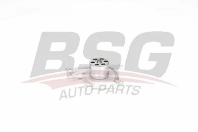 BSG 75-500-002 BSG Водяной насос, охлаждение двигателя