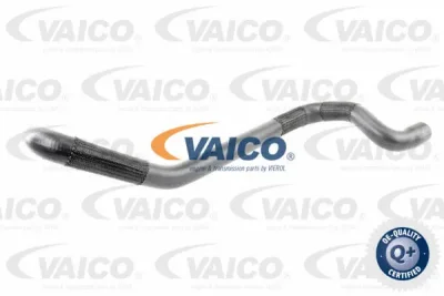 Шланг радиатора VAICO V10-2794
