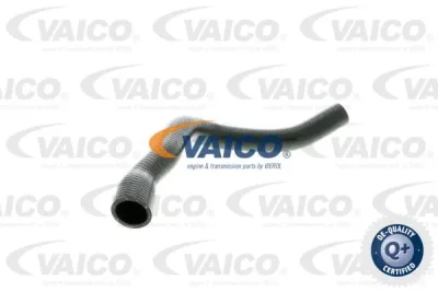 V20-0145 VAICO Шланг радиатора
