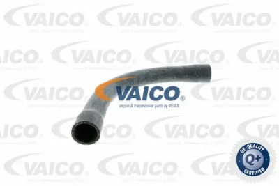 V20-0147 VAICO Шланг радиатора