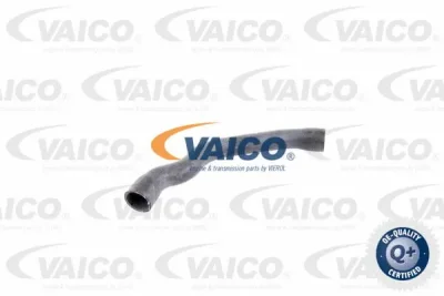 V30-2099 VAICO Шланг радиатора