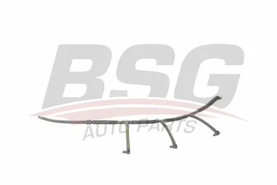 Шланг, утечка топлива BSG BSG 90-725-002
