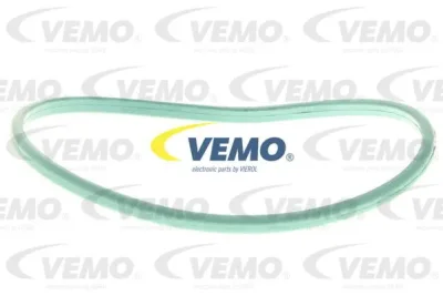 V24-09-0053 VEMO Прокладка, датчик уровня топлива