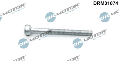 DRM01074 Dr.Motor Automotive Болт, крепление форсунки