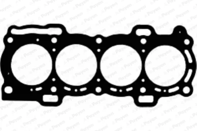 AC5290 PAYEN Прокладка, головка цилиндра