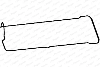 JM5304 PAYEN Прокладка, крышка головки цилиндра