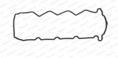 JM7189 PAYEN Прокладка, крышка головки цилиндра