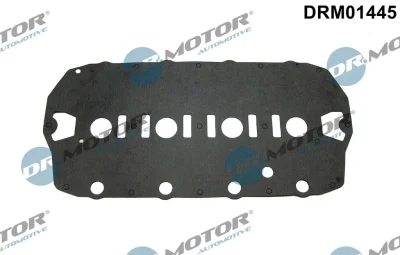 DRM01445 Dr.Motor Automotive Прокладка, крышка головки цилиндра