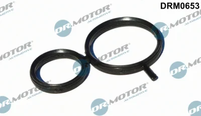 DRM0653 Dr.Motor Automotive Прокладка, крышка головки цилиндра