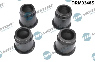 DRM0248S Dr.Motor Automotive Прокладка, корпус форсунки