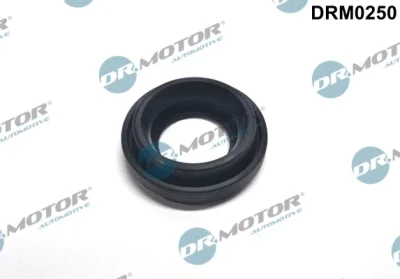 DRM0250 Dr.Motor Automotive Прокладка, корпус форсунки