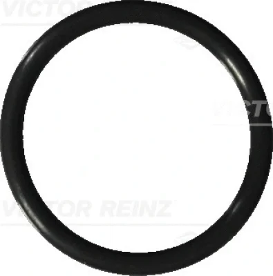 40-76041-20 VICTOR REINZ Уплотнительное кольцо, резьбовая пробка маслосливн. отверст.