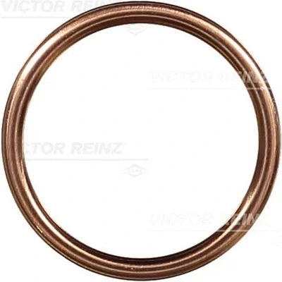 41-72065-30 VICTOR REINZ Уплотнительное кольцо, резьбовая пробка маслосливн. отверст.