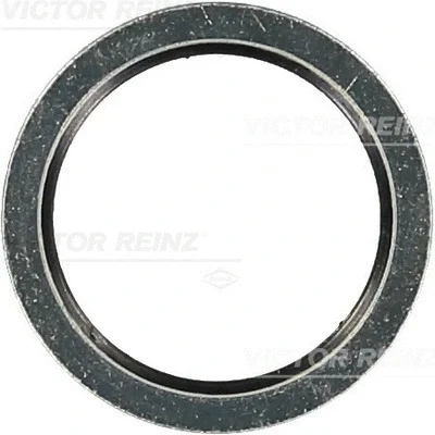 70-31861-00 VICTOR REINZ Уплотнительное кольцо, резьбовая пробка маслосливн. отверст.