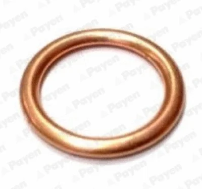 Уплотнительное кольцо, резьбовая пробка маслосливн. отверст. PAYEN PB907