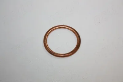 190038910 AUTOMEGA Уплотнительное кольцо, резьбовая пробка маслосливн. отверст.