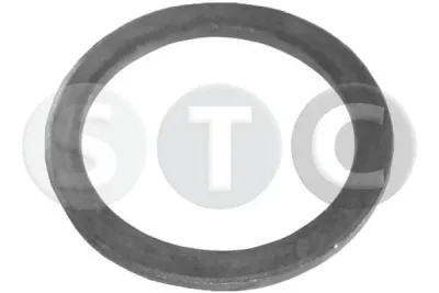 Уплотнительное кольцо, резьбовая пробка маслосливн. отверст. STC T402034