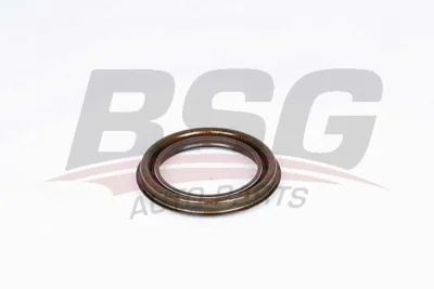 Уплотняющее кольцо, ступица колеса BSG BSG 30-116-131