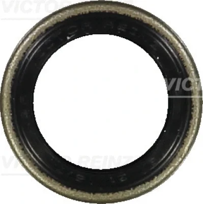 81-24010-00 VICTOR REINZ Уплотняющее кольцо, распределительный вал