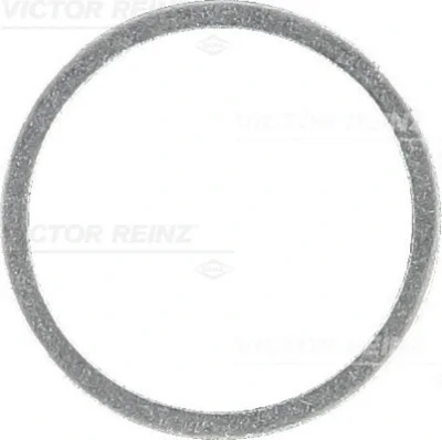 40-71078-00 VICTOR REINZ Уплотнительное кольцо