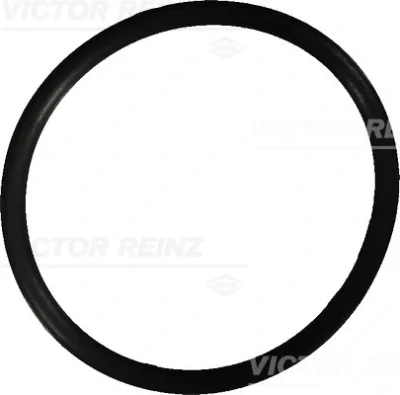 40-76022-10 VICTOR REINZ Уплотнительное кольцо