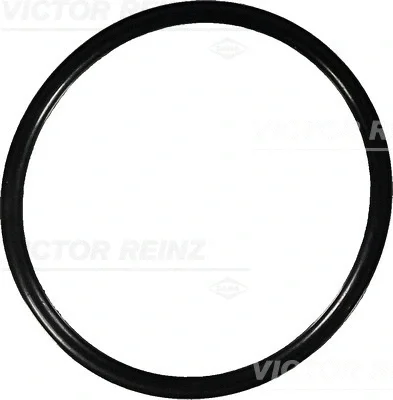 40-76150-00 VICTOR REINZ Уплотнительное кольцо