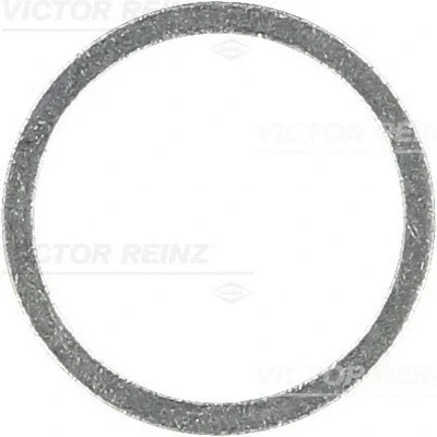 41-71072-00 VICTOR REINZ Уплотнительное кольцо