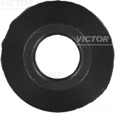 71-27207-00 VICTOR REINZ Уплотнительное кольцо