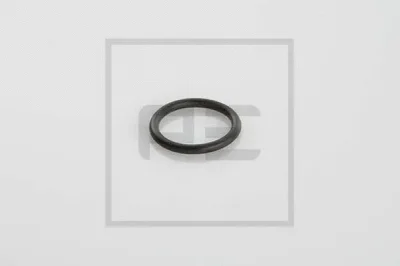 Уплотнительное кольцо PE AUTOMOTIVE 046.101-00A